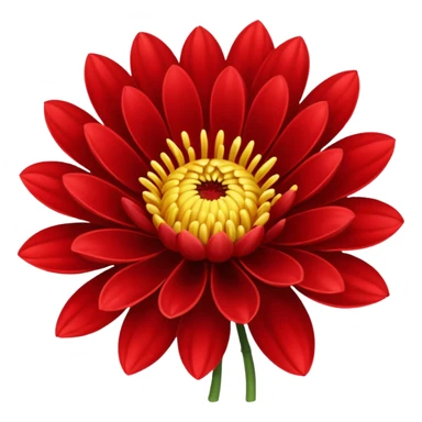 chrysanthemum flower full red sticker