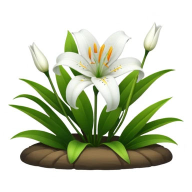 Singapore graveyard flower sticker