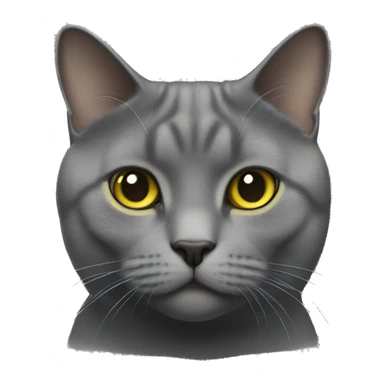 Realistic Thick chartreux cat sticker