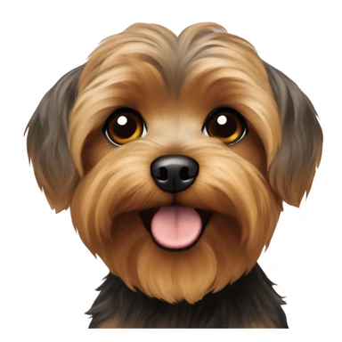 Brown yorkie poo sticker