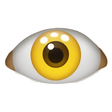 case for clear contact lens sticker