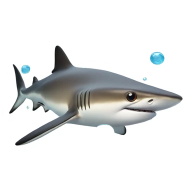 Black tip reef shark with bubbles around sticker