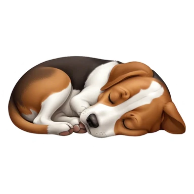 Perro beagle durmiendo  sticker