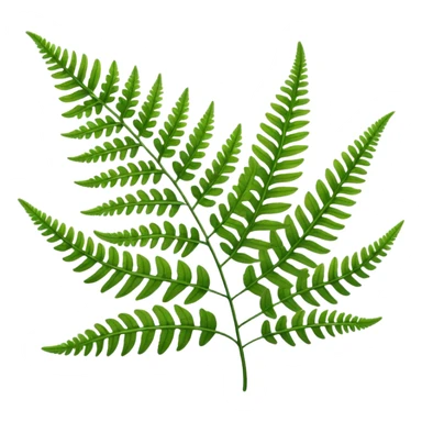 Fern leave sticker