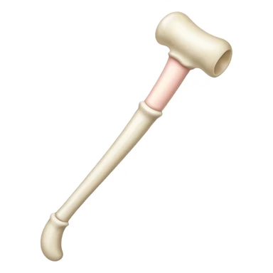 singular long bone sticker
