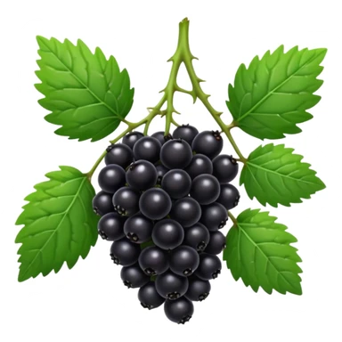 blackberry plant sticker