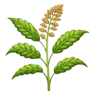 quinoa plant with grains sticker
