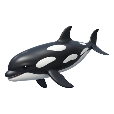 killer whale sticker