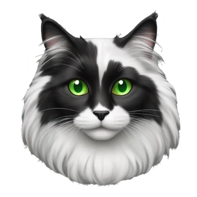 black and white long haired cat with green eyes sticker