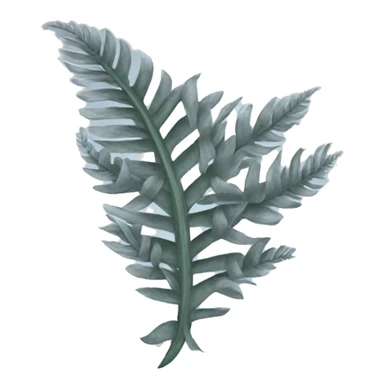 silver fern sticker