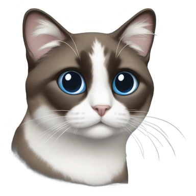 Snowshoe cat with small white patch by nose, dark face and blue eyes and darker body sticker
