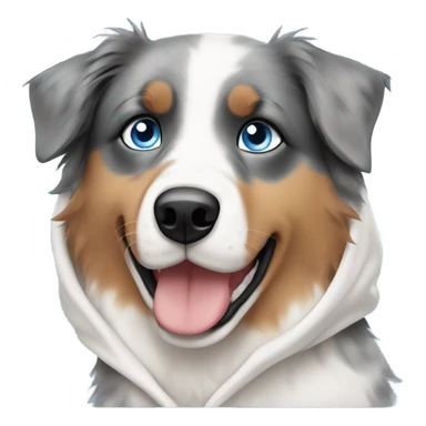 australian shepherd with blue eyes wearing hoodie sticker