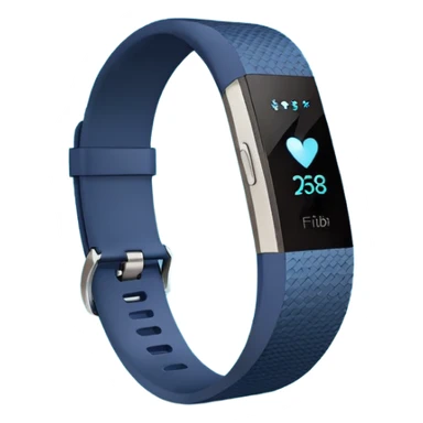 Fitbit company logo sticker