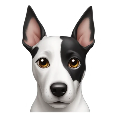Black and white mix of a jack russel and a bullterrier with raised ears sticker