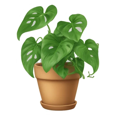 Pothos plant in a teracotta pot sticker