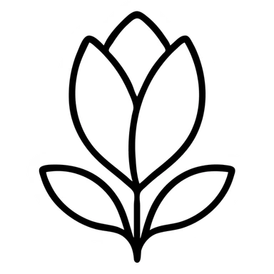 minimalist top-down view of a magnolia flower bud with soft white petals, fully visible against a plain white background, no extra details sticker
