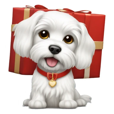  white maltese dog and red gift sticker