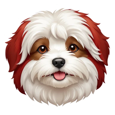 Havaneser Red and withe sticker