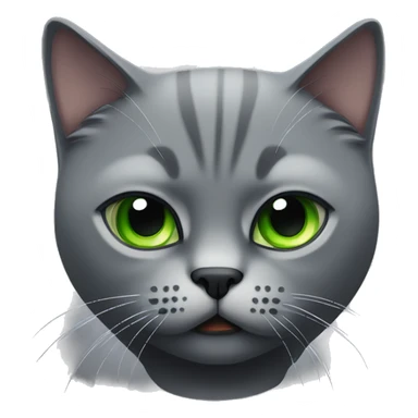 Dark grey angry British short hair cat with green eyes  sticker