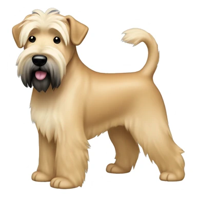 Wheaten terrier with long lighter color hair, darker color ears and black chin sticker