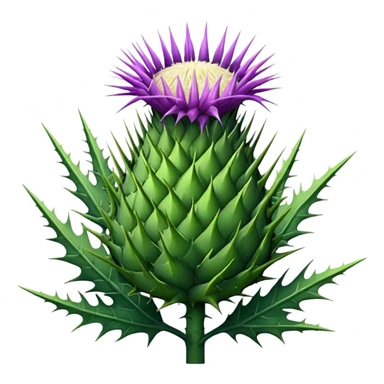 milk thistle sticker