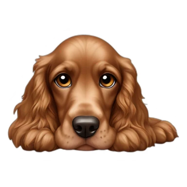 Cachorro Cocker spaniel marrom dormindo olhos fechados sticker