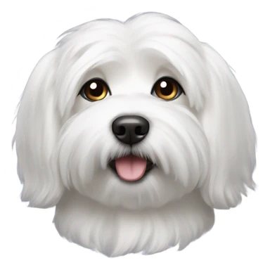 coton de tulear sticker