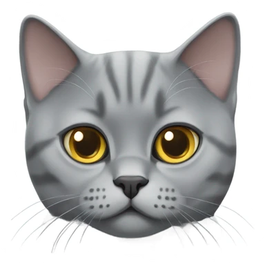 Grey British shorthair cat sticker