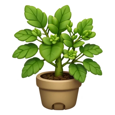 elephant bush plant sticker