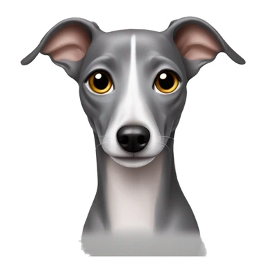 Grey Italian greyhound  sticker