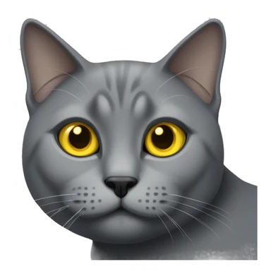 Grey British cat with yellow eyes sticker