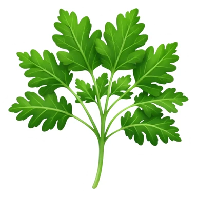 parsley leaf, single, fresh, bright green, serrated edges, natural curves, glossy surface, fine central vein, branching lobes, no stem bunch, no background, soft lighting, emoji scale sticker