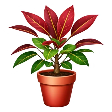 Ficus elastica red Variegata in a pot sticker