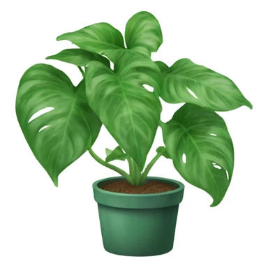 Pothos plant sticker