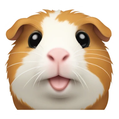 full skelet of a guinea pig  sticker