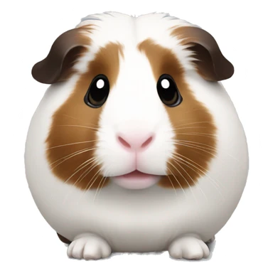 Guineapig white and dark brown sticker