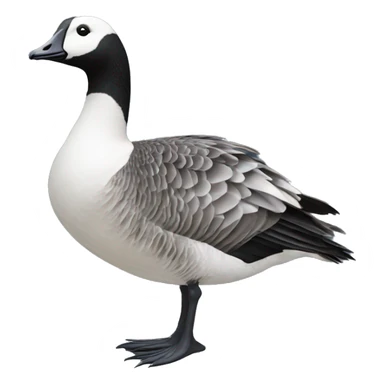 Barnacle goose sticker