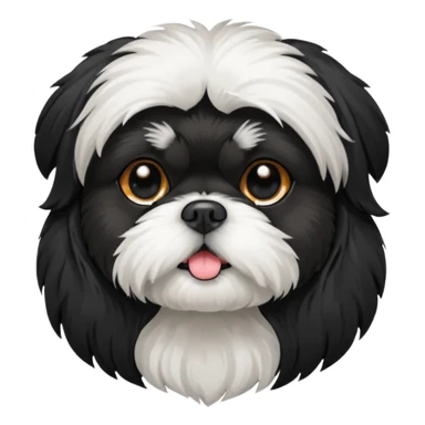 black Shih-Tzu sticker