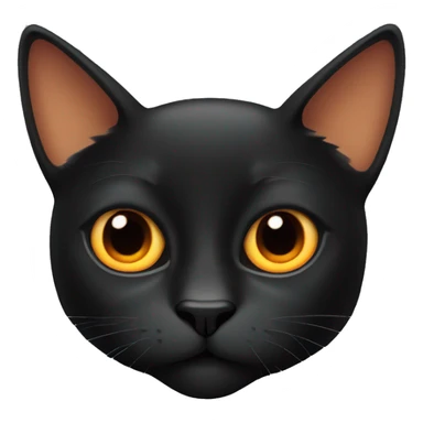 Black cat with big orange eyes  sticker