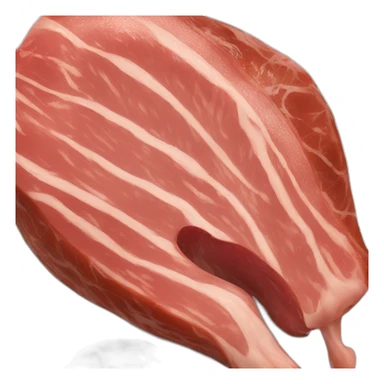 apetizers meat sticker