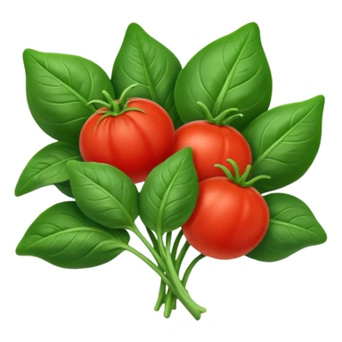 Spinach & tomato sticker
