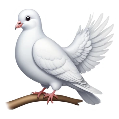white dove pigeon sticker