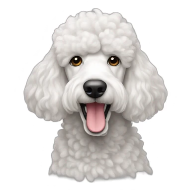 White standard poodle sticker