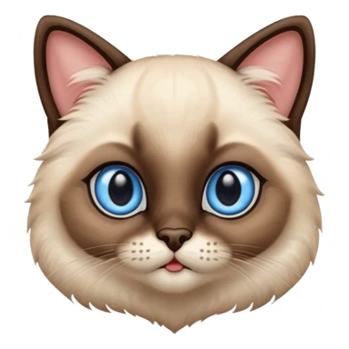 baby siamese cat sticker