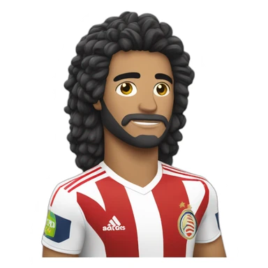 Copa libertadores sticker