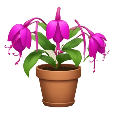 fuchsia Flowers in a pot sticker