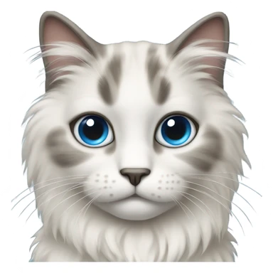 cream & grey colored fluffy cat with big blue eyes sticker