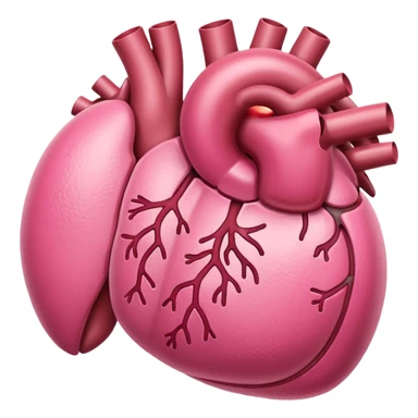 kidney organ sticker