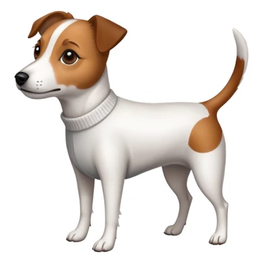 Jack Russell with long legs wearing a jumper  sticker