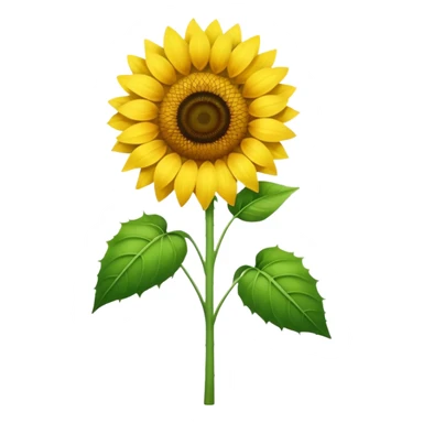 Girasol sticker
